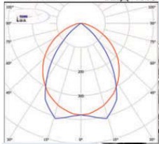  ������ ���� �����